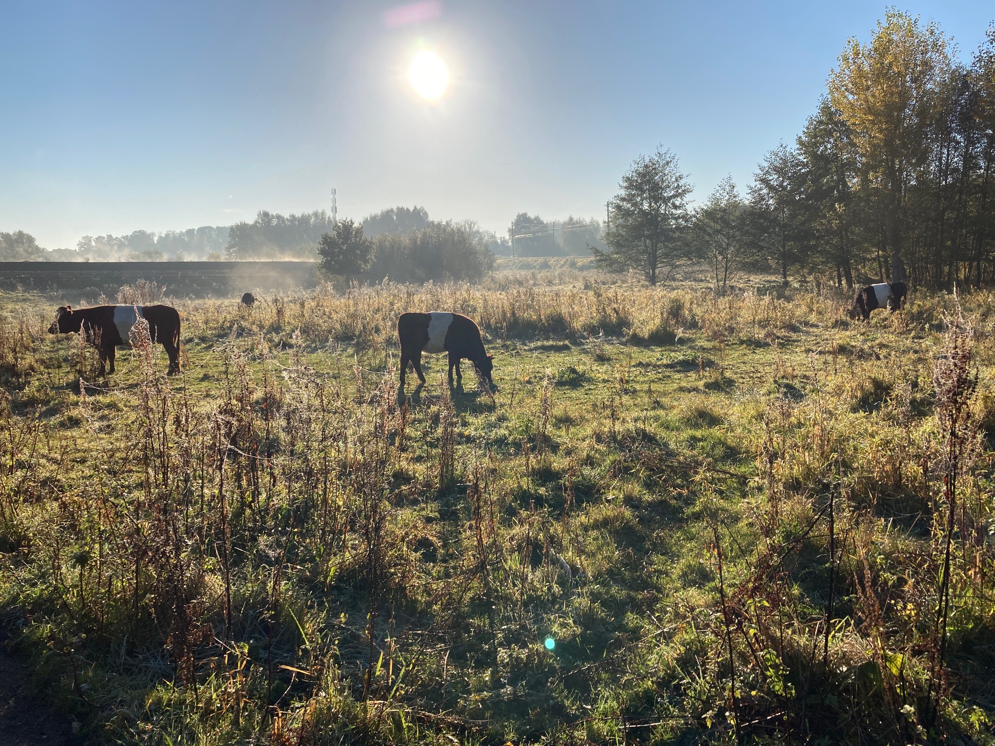 Herfstwandeltocht De Trampelkeu