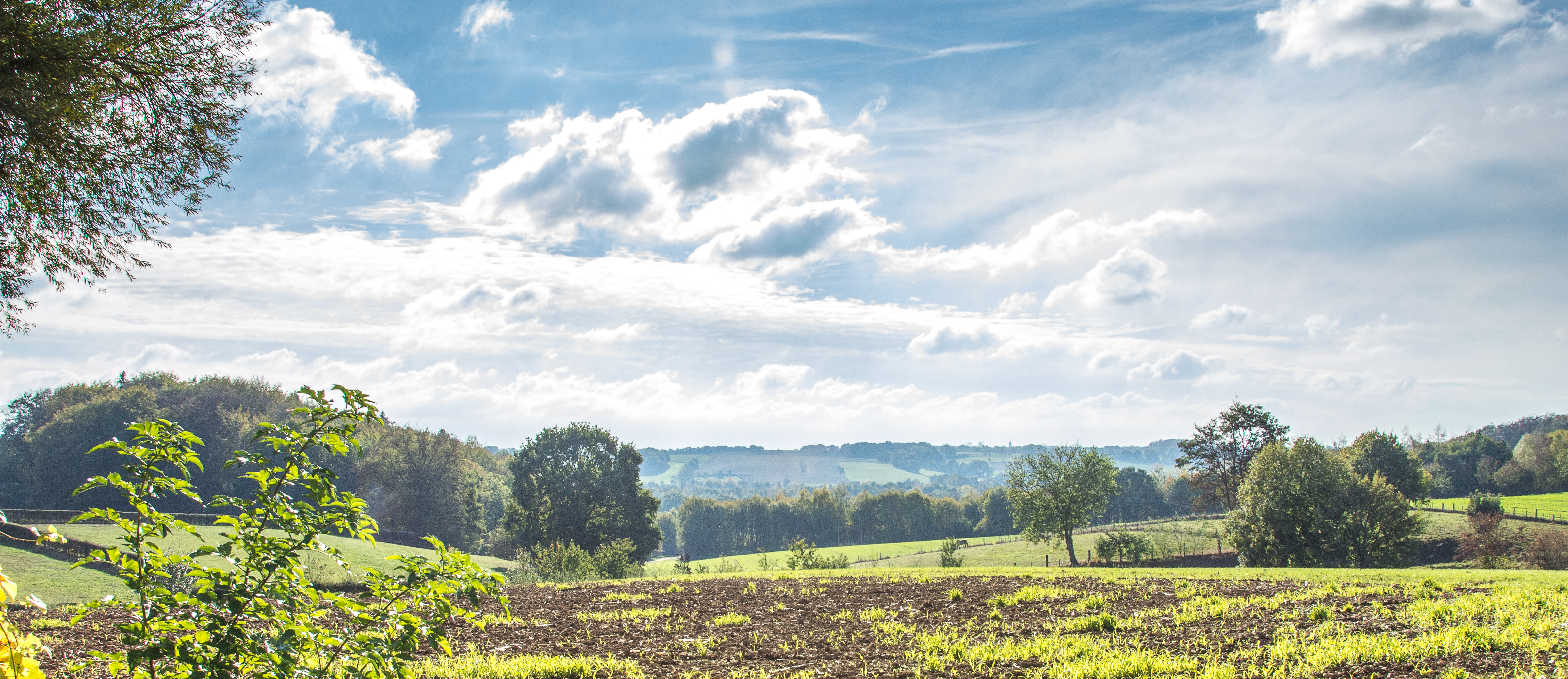 Wandelroute Beekdaelen - Panoramaroute Schinnen