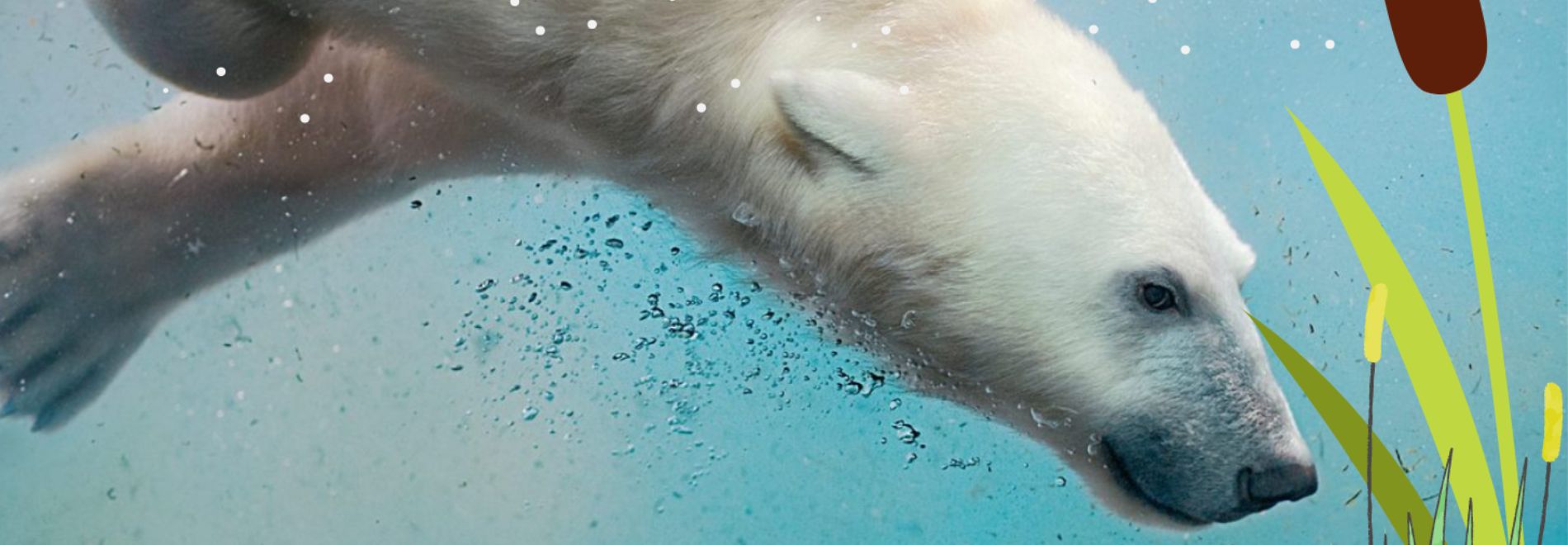 BloteVoetenPark Nieuwjaarsduik