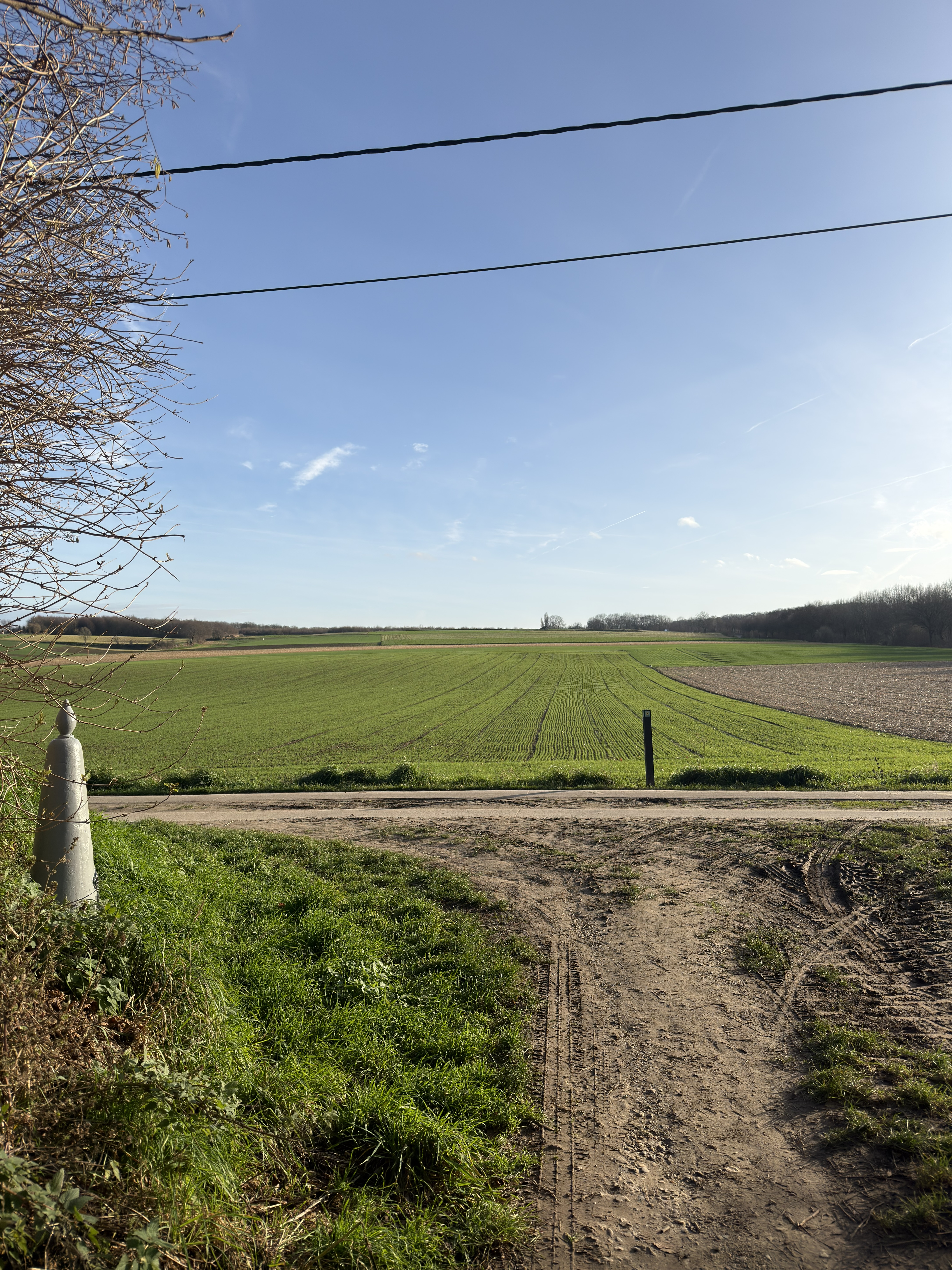 Wandelroute Maastricht - Stadsrandwandeling Maastricht