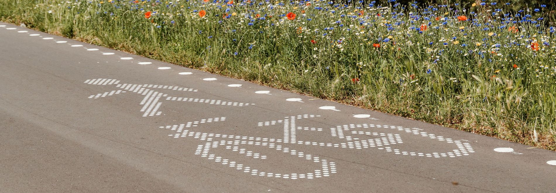 Feestelijke opening Parkstadroute