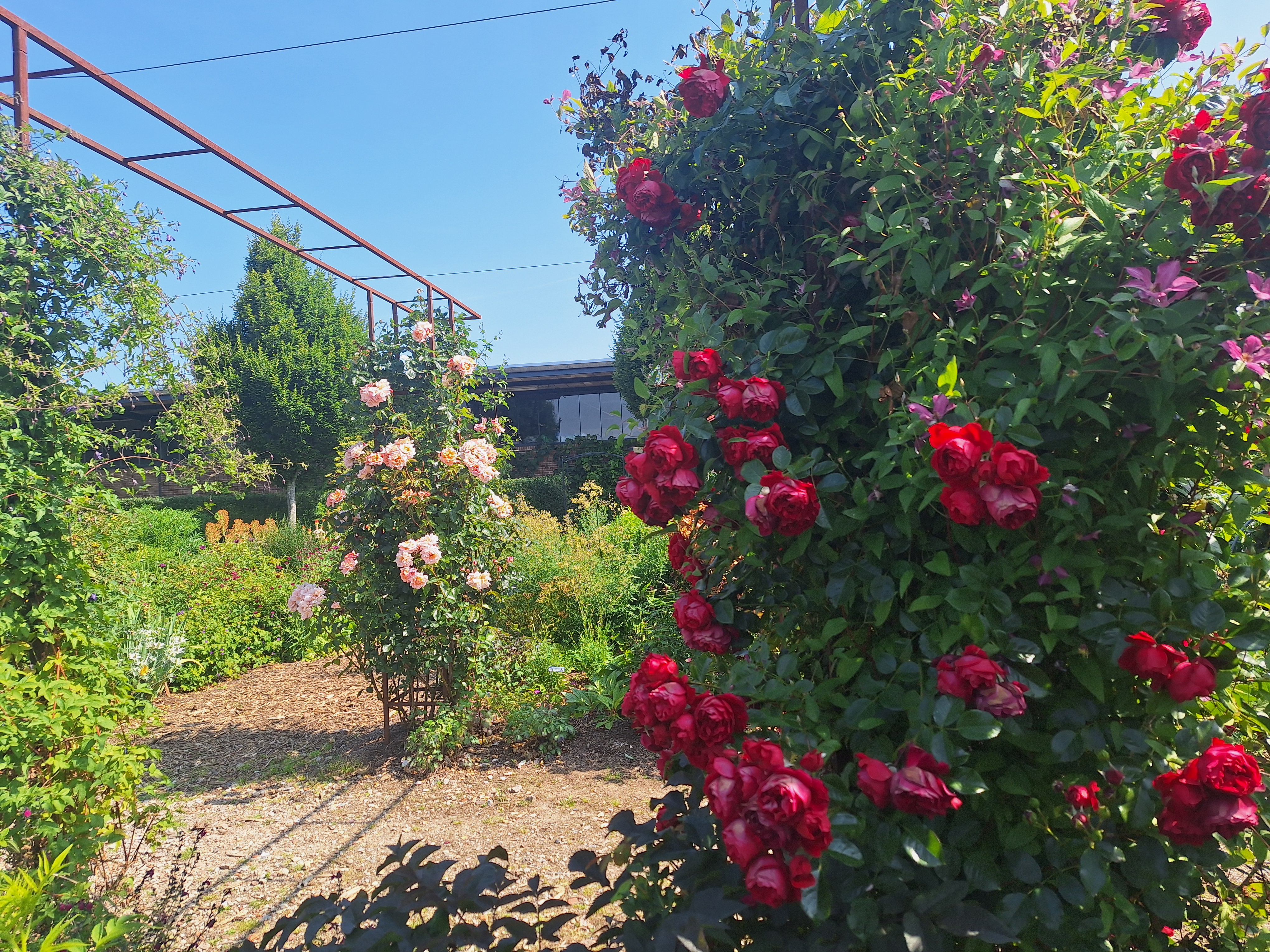 Clematis, Rozen, Kunst en Ambachtenmarkt