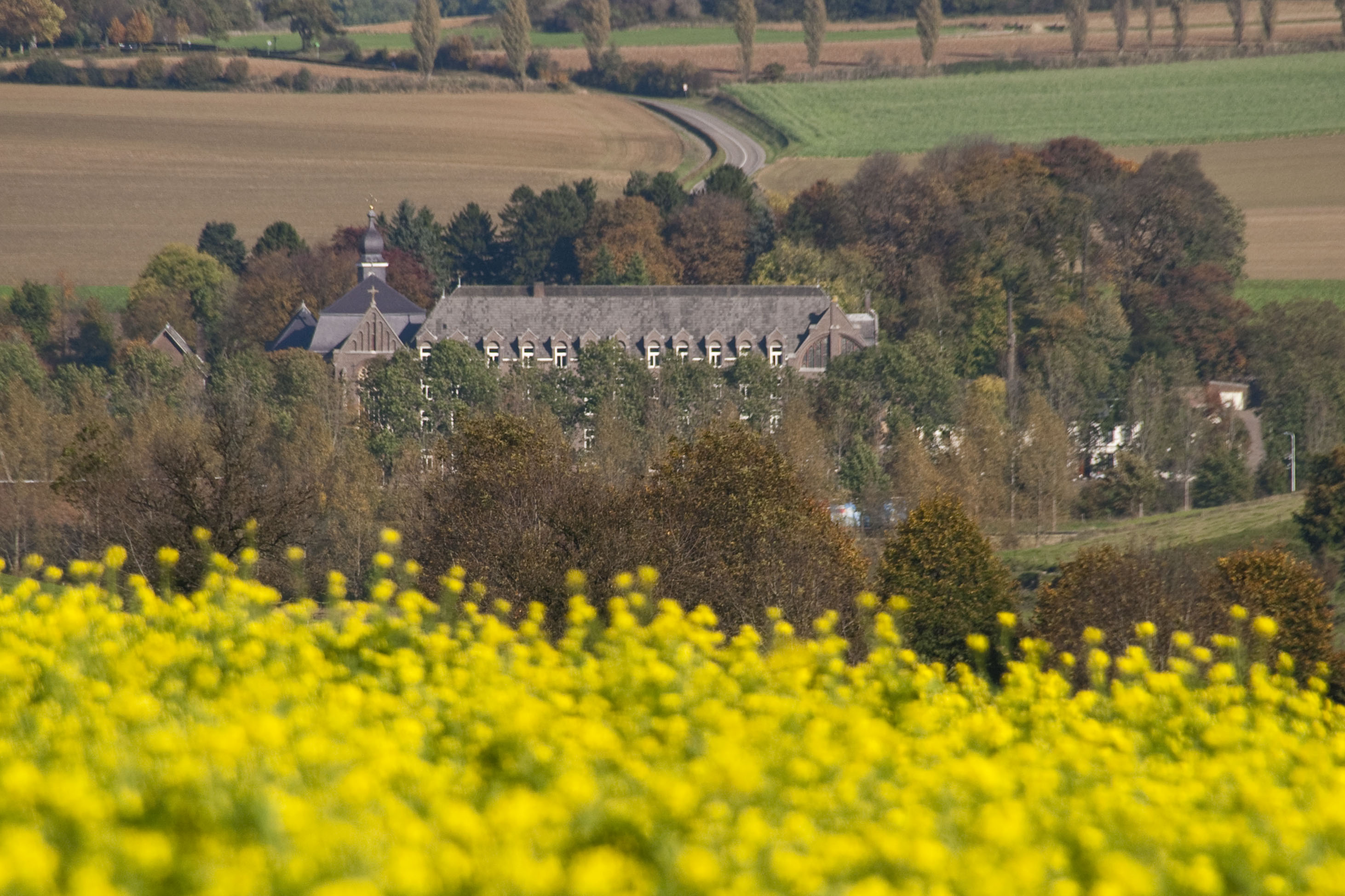 Pinksterlezing: Kloosterverlangen