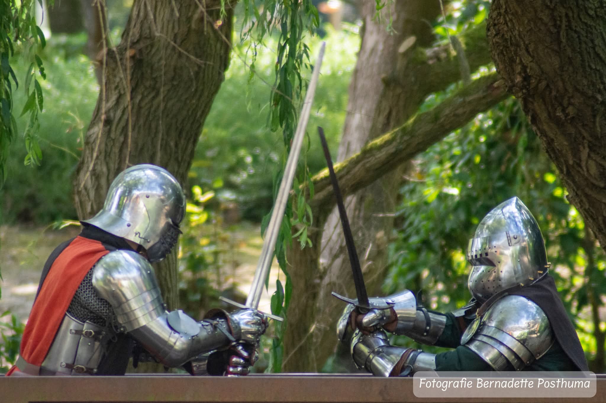 Middeleeuws Ridderfeest