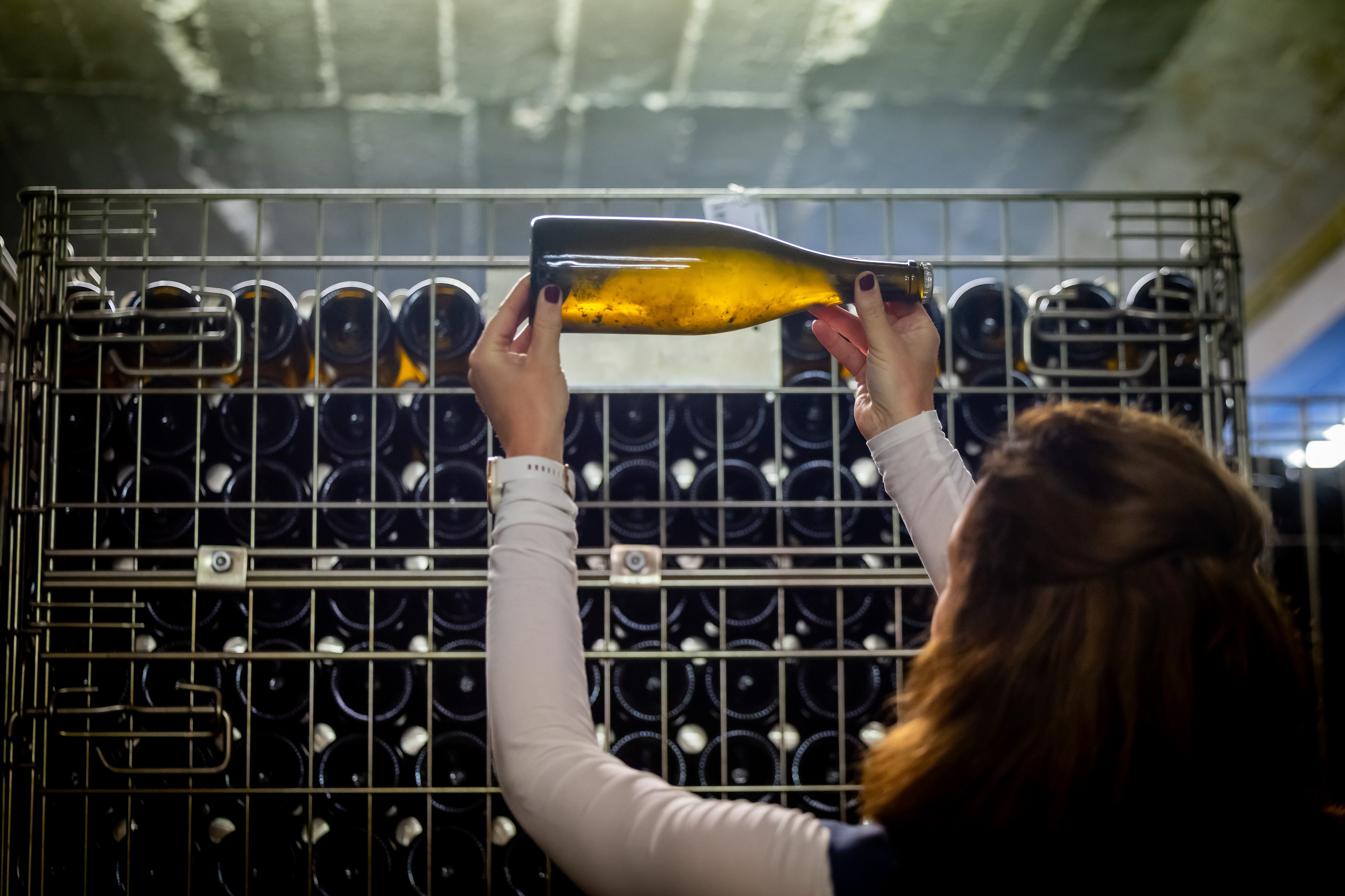 Holset Ontkurkt - Open dag met bezoek wijnmakerij