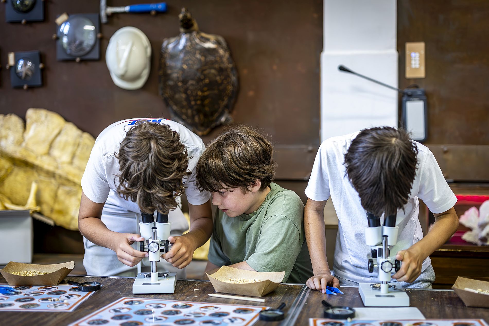 Doe-woensdagen bij het Natuurhistorisch Museum Maastricht