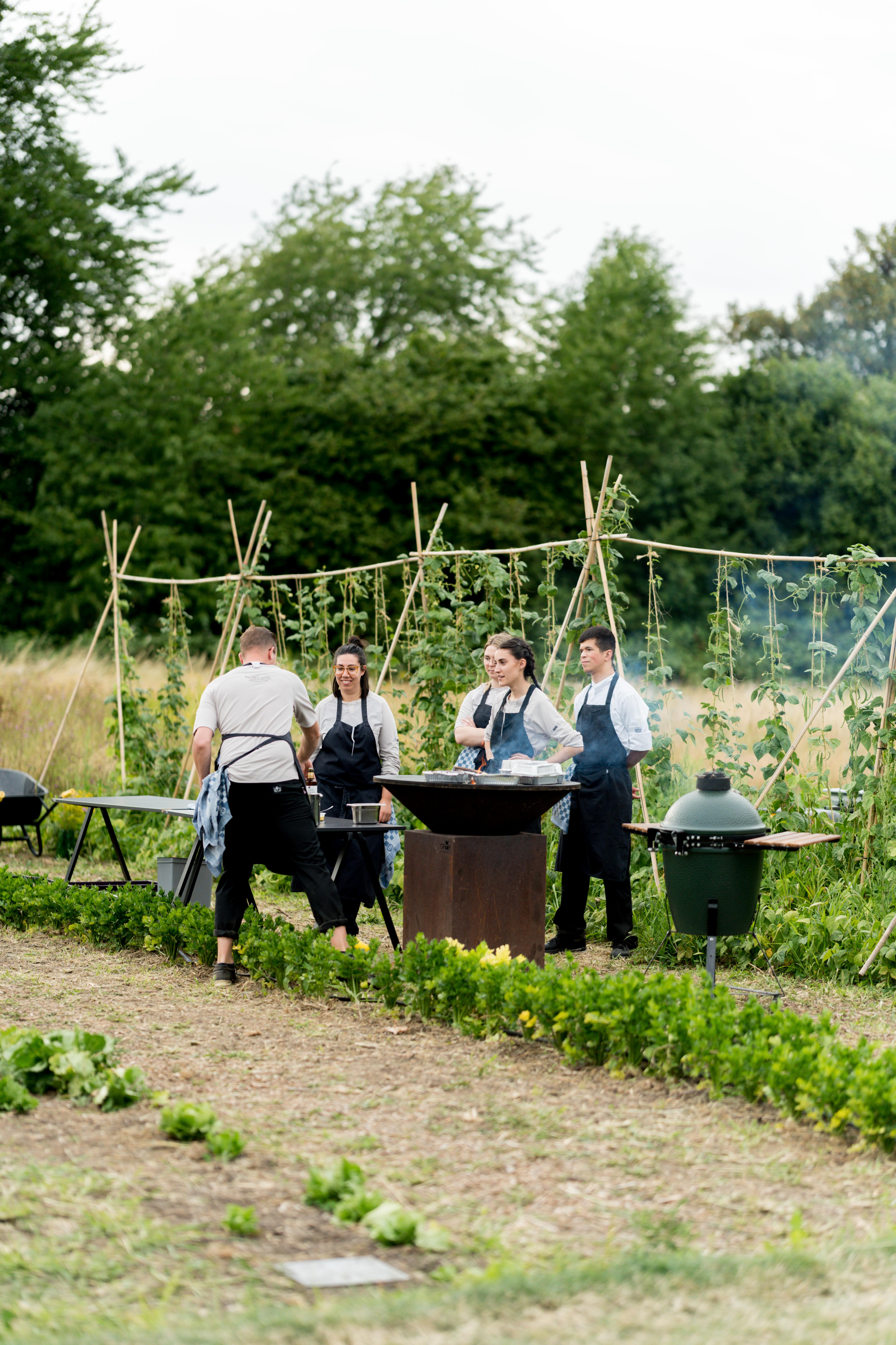 WIJland Harvest Diners