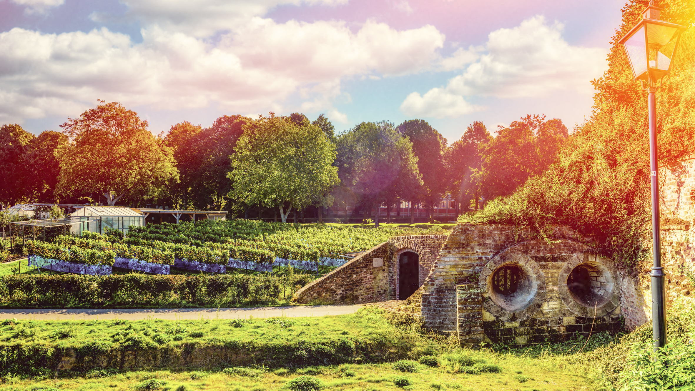 Wijngaard Fort Sanderbout