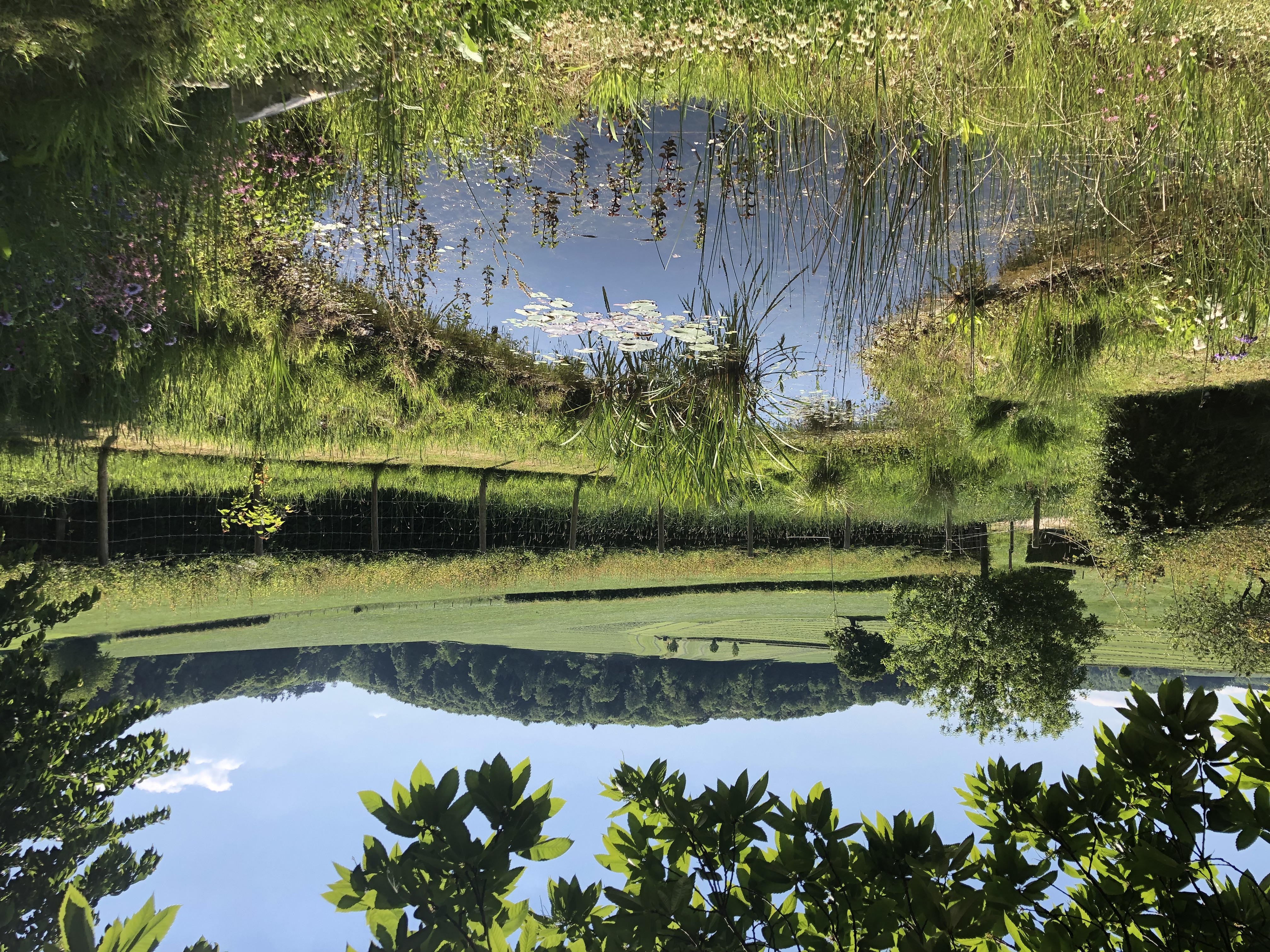 Open tuin Wendies passie voor kruiden tijdens Ecotuindagen 