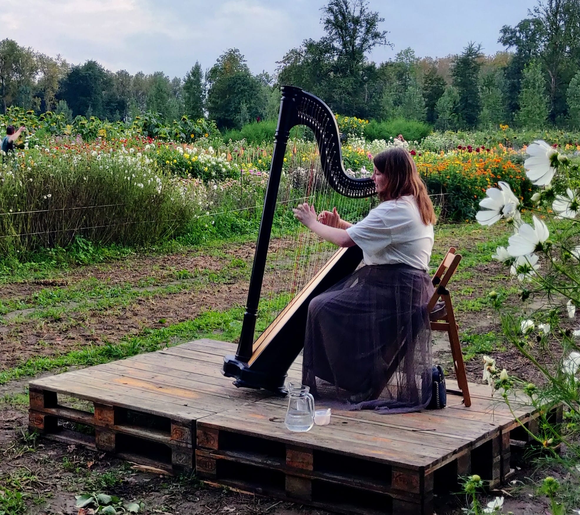 Harpconcert Britt van de Rijdt