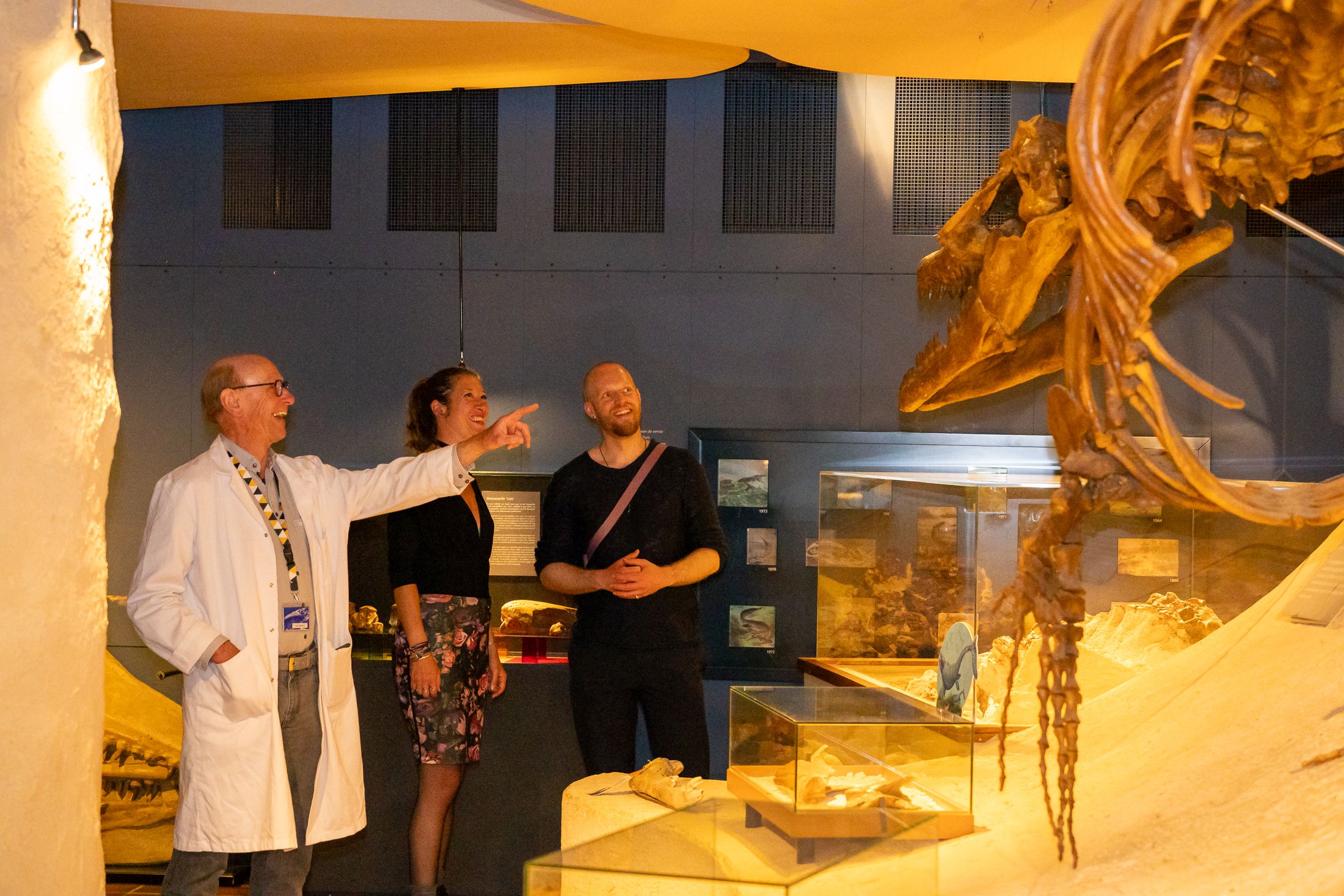Rondleidingen in het Natuurhistorisch Museum Maastricht