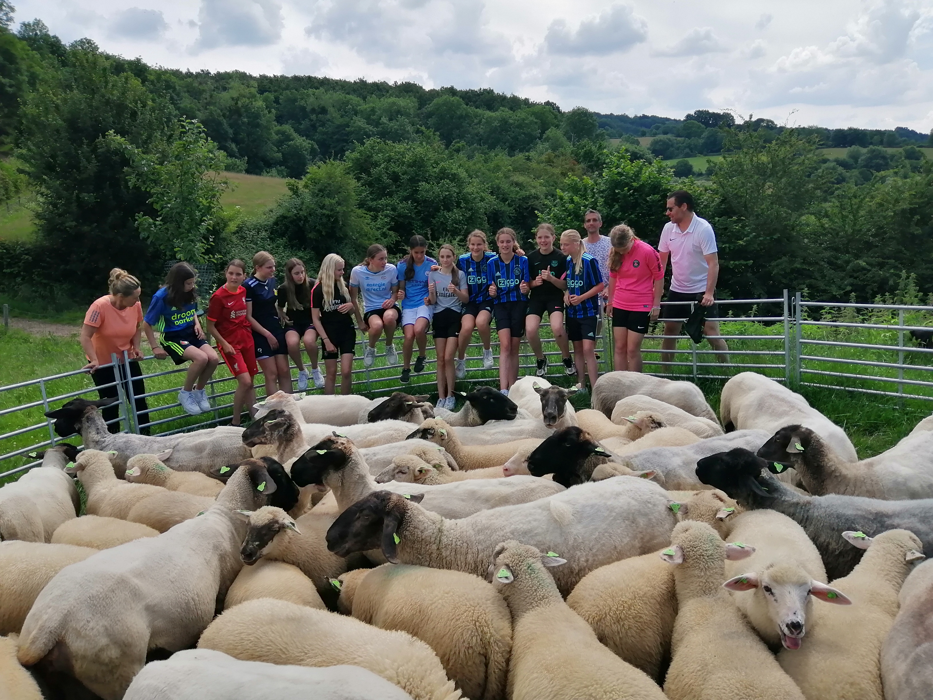 Schapendrijven bij De Paradijsvogels