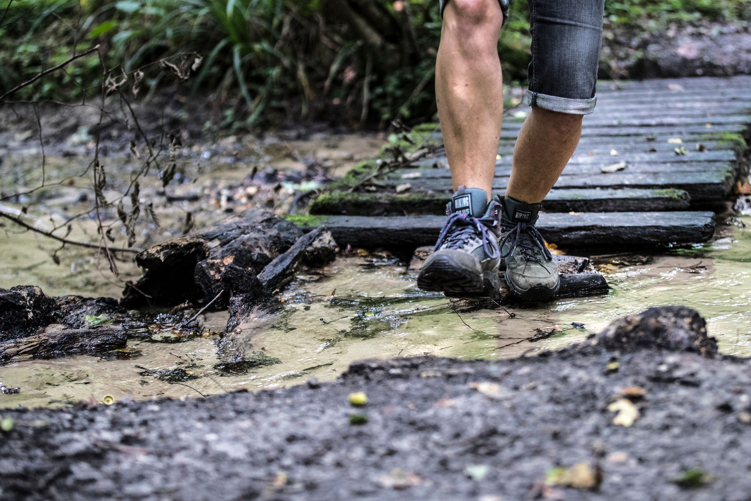 Wandelroute Meerssen - Bunderbos bronnenbos
