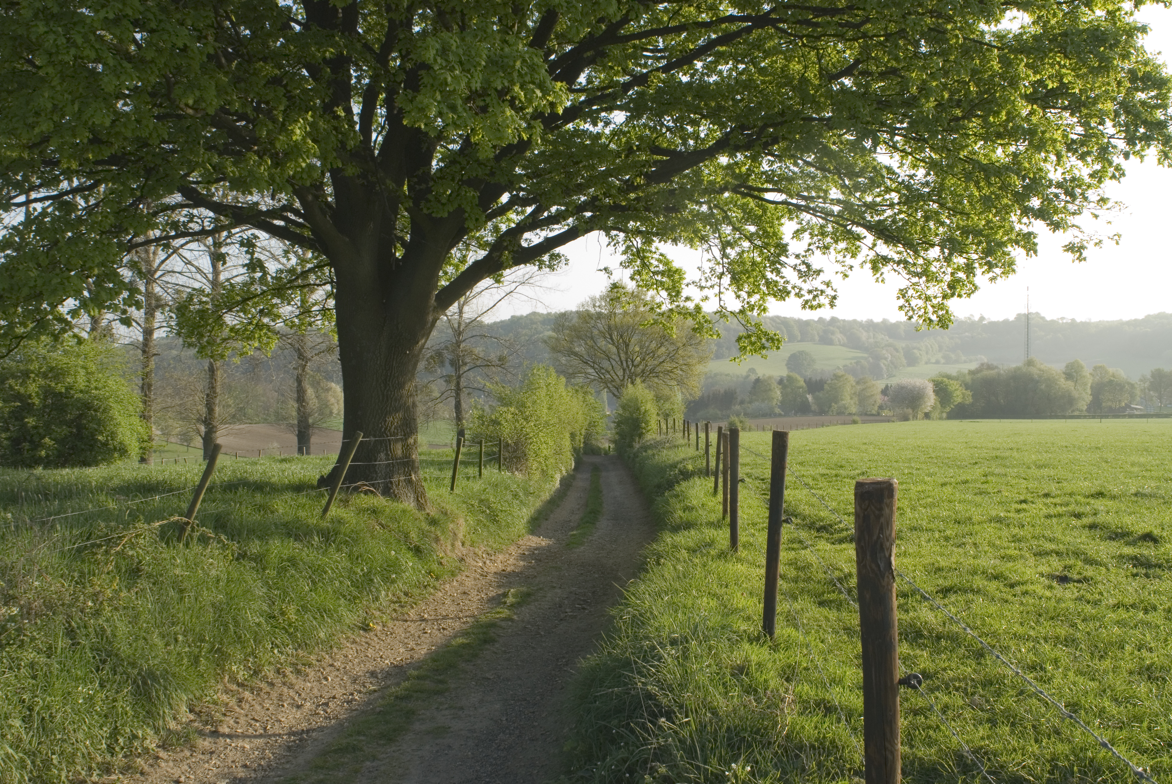 Heijenrath