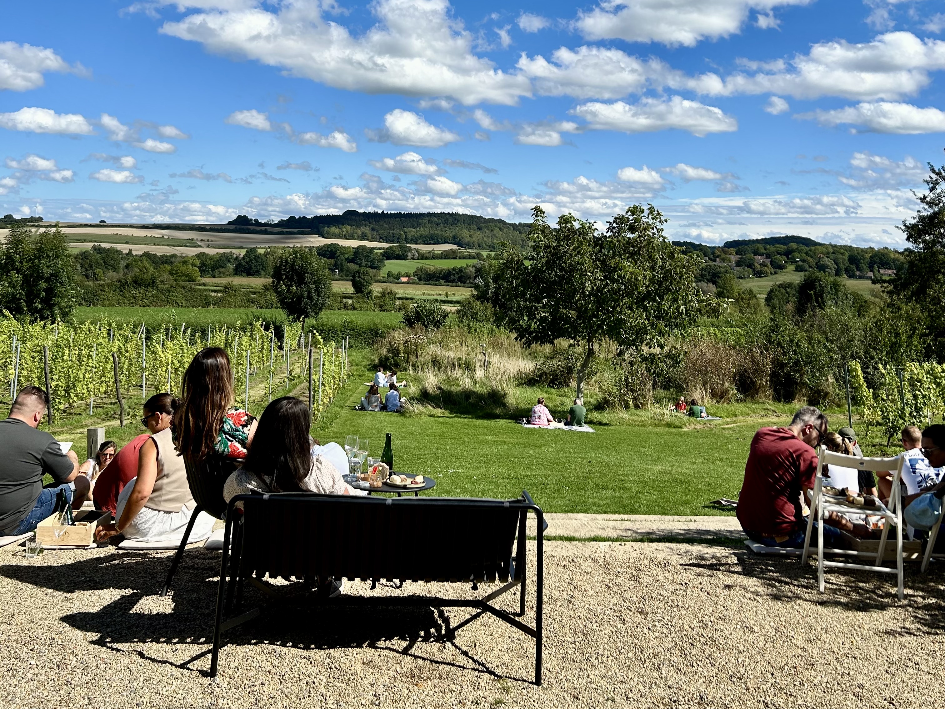 Picknick in de Wijngaard