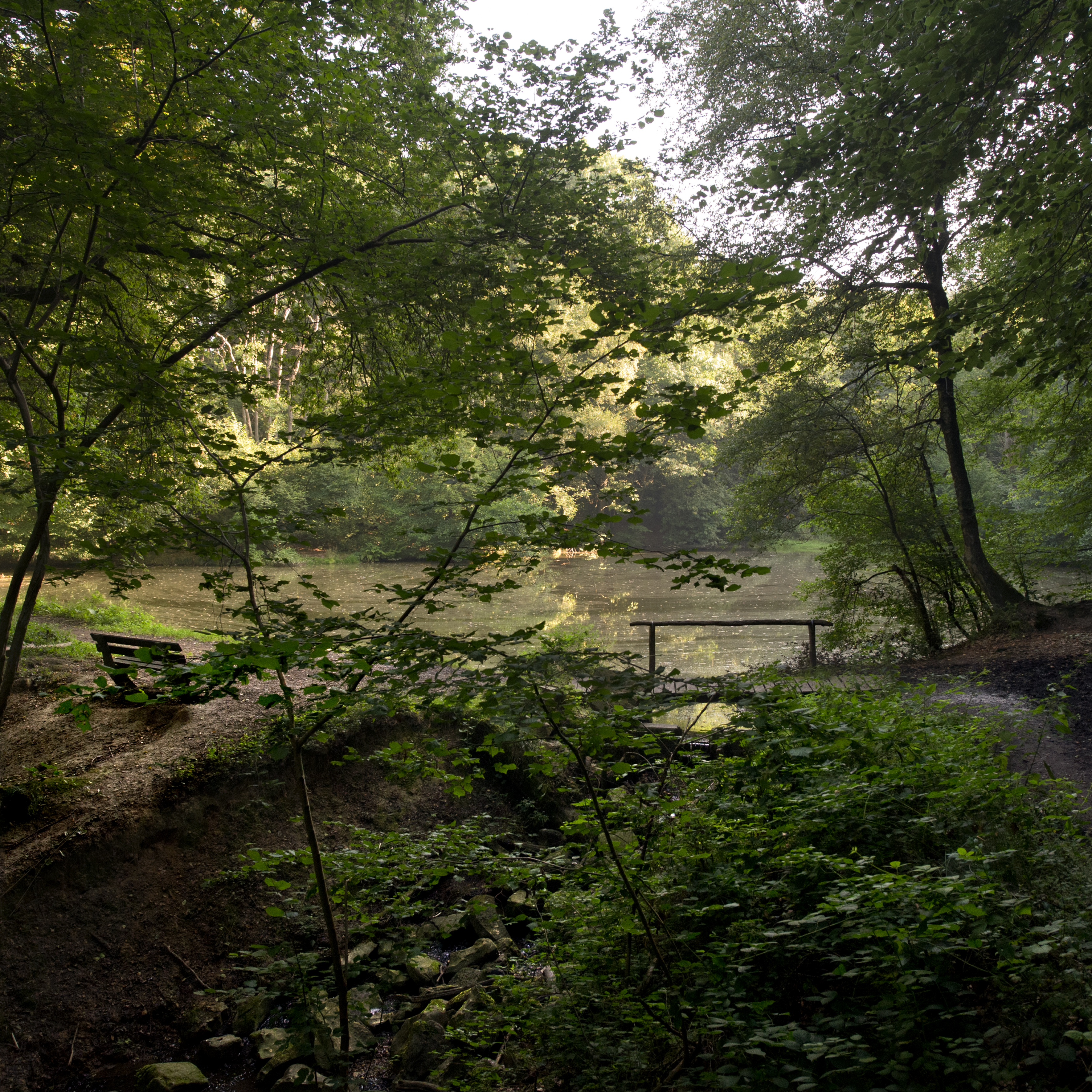 Wandelroute Valkenburg - Ontdek het Ravensbosch