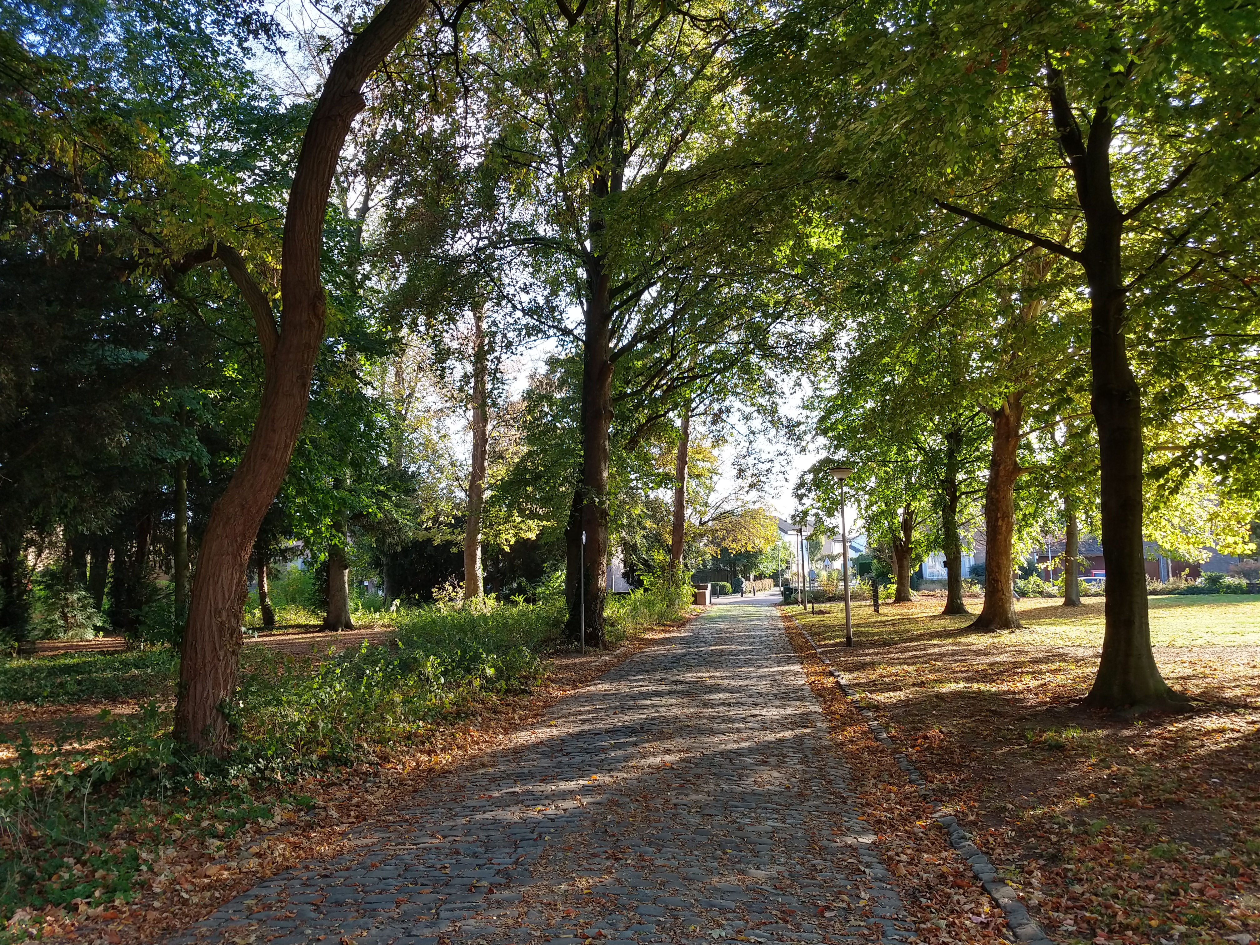 Huubke's vlucht - een verzwegen verhaal op muziek