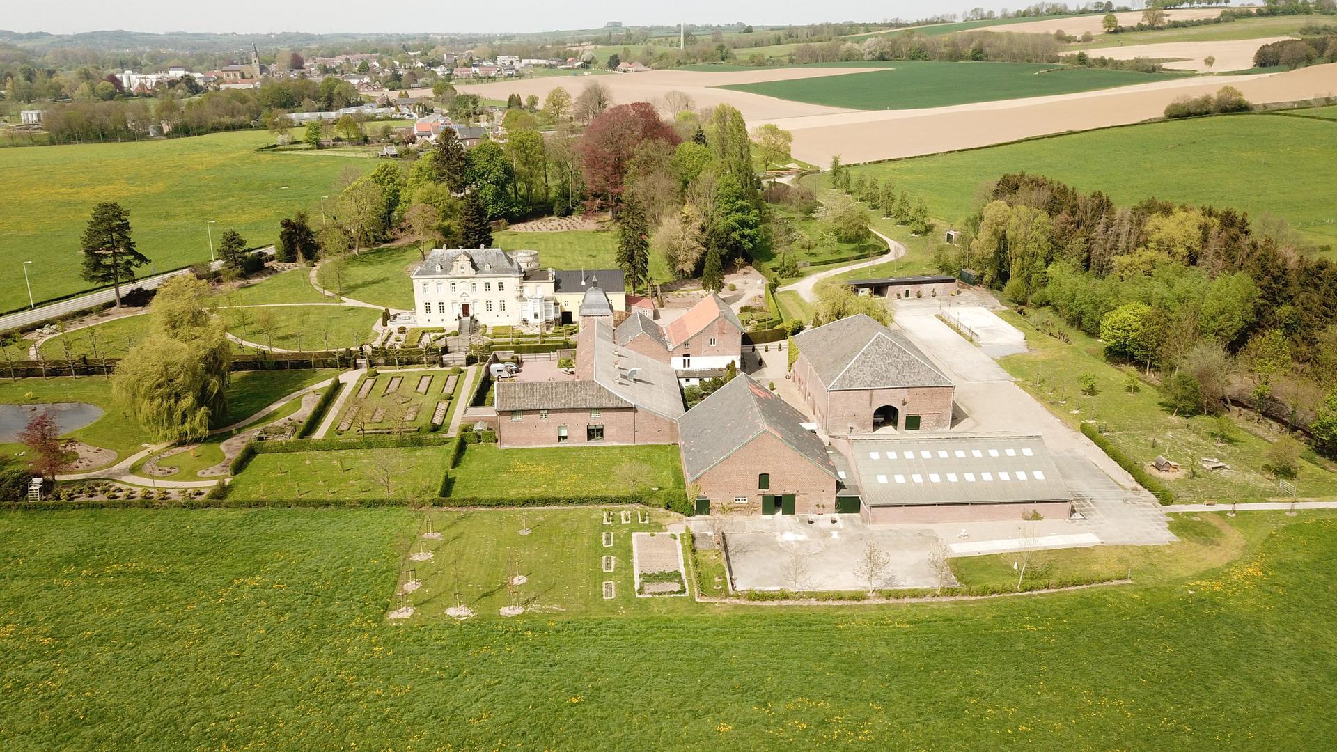 Limburg Wine Walk 